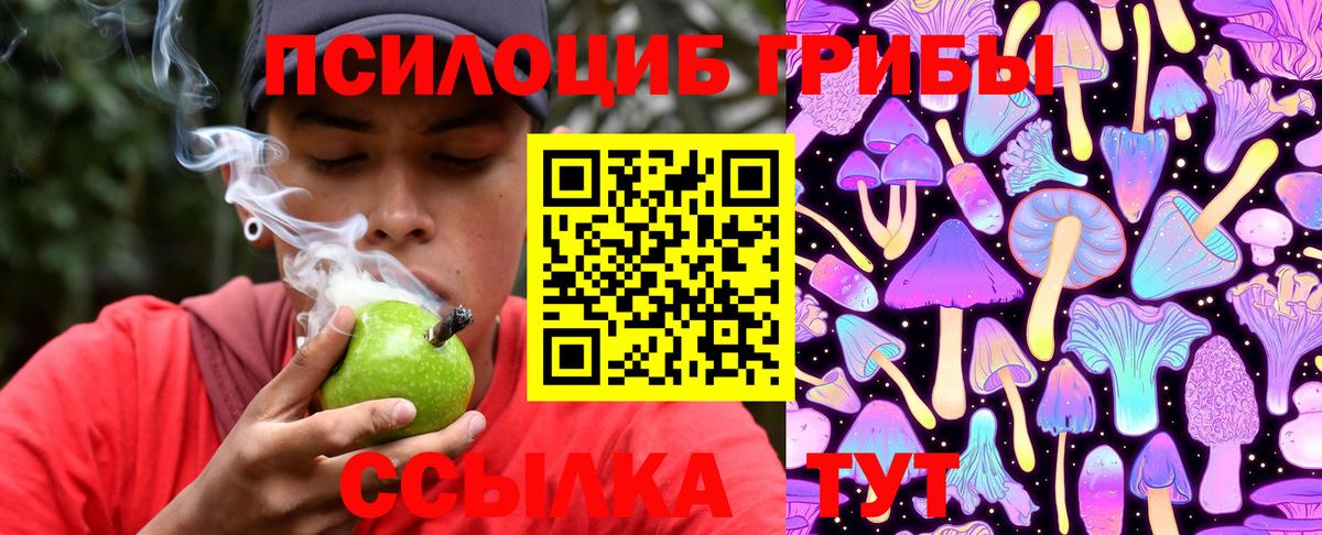 Моздок  Псилоцибиновые грибы прущие грибы  Вход с VPN 